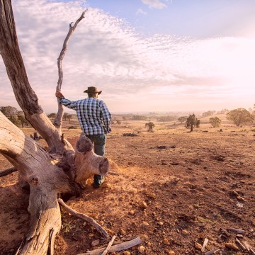 Councils offer aid to drought-stricken farmers