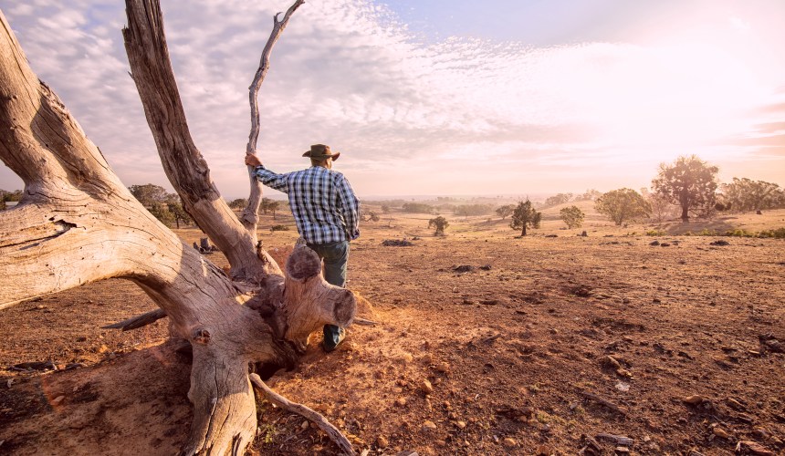 Councils offer aid to drought-stricken farmers