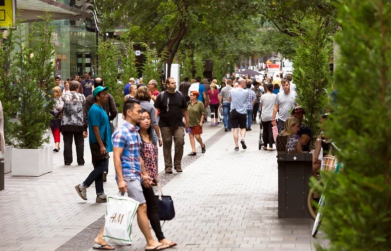 Urban forests: councils tackle urban tree decline