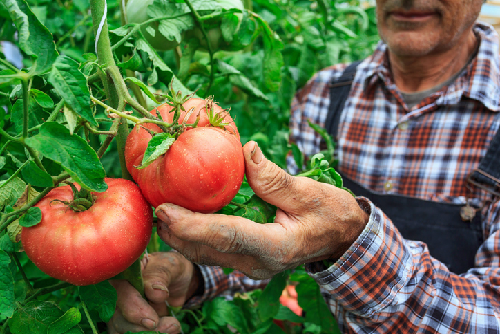 Migrants trapped in ‘slave-like’ conditions at Aussie farms