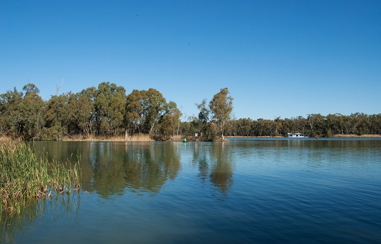 Murray Darling fish kill requires policy rethink