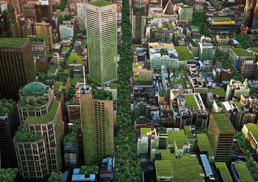 Urban forests: Melbourne's plan to green the city - Government News