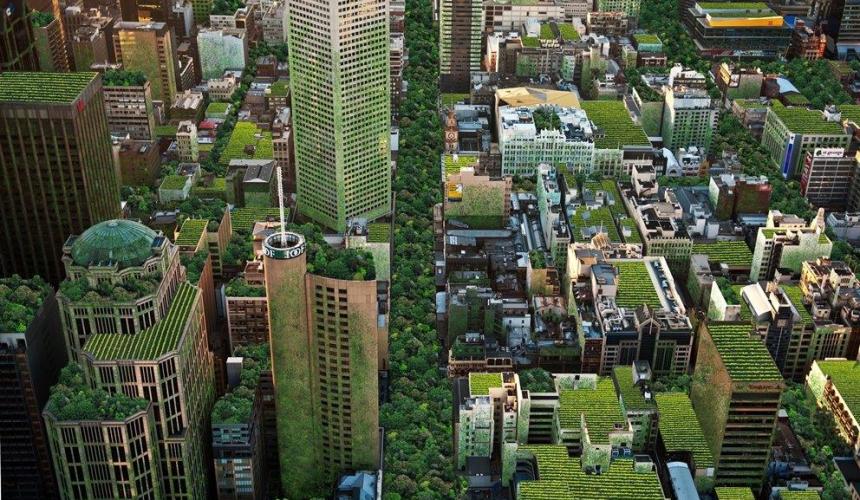 Urban forests: Melbourne’s plan to green the city