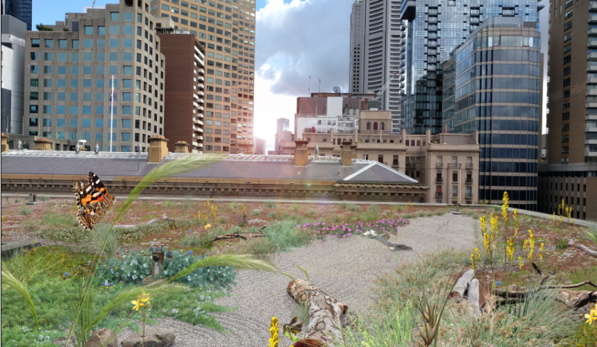 Melbourne marches ahead with green sky vision