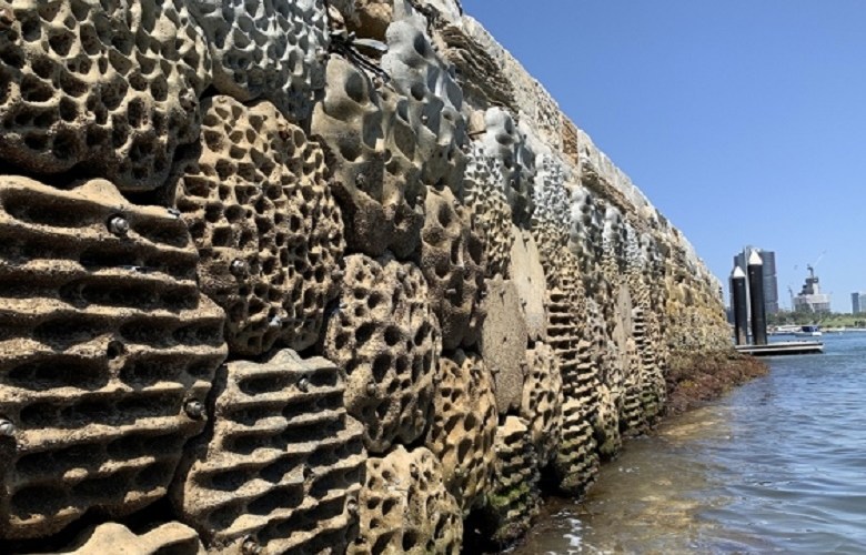 ‘Ocean gardening’ better than seawalls