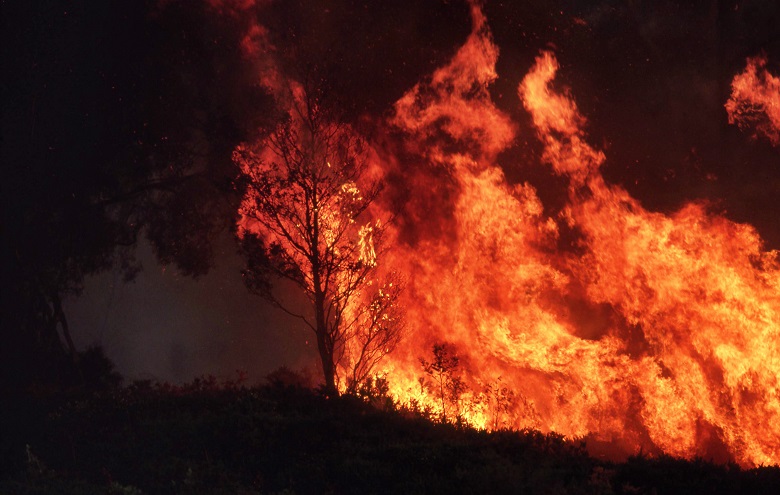 Heat on councils as bushfire season looms