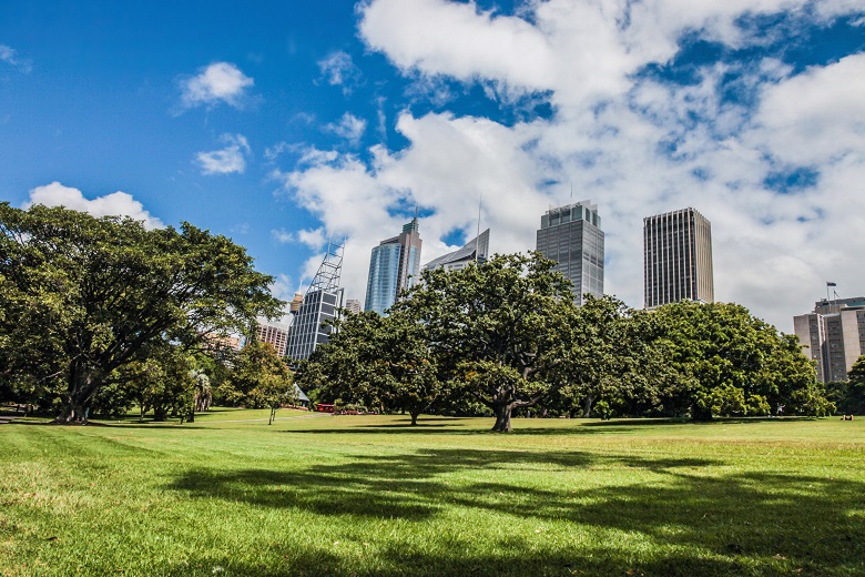 Green Open Spaces Can Unlock Urban Growth Government News