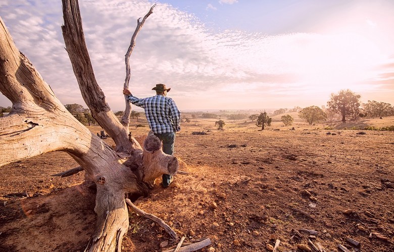 Millions in drought assistance for councils