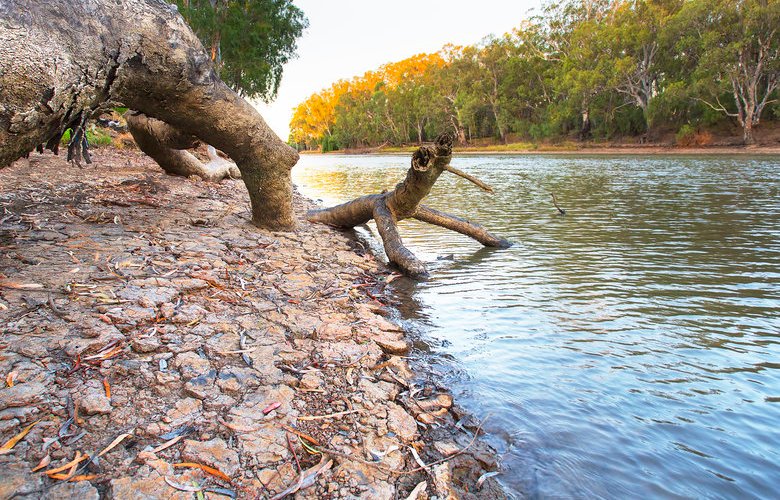 Value for money questioned in Murray Darling water buybacks