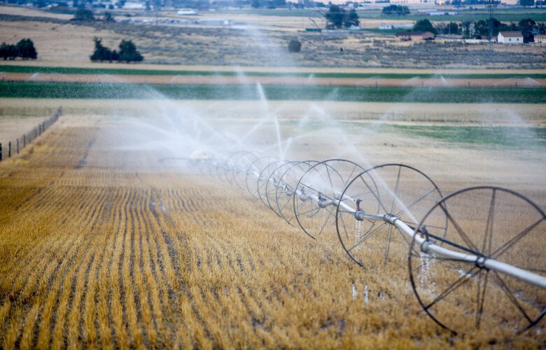 Murray Darling water management favoured irrigators