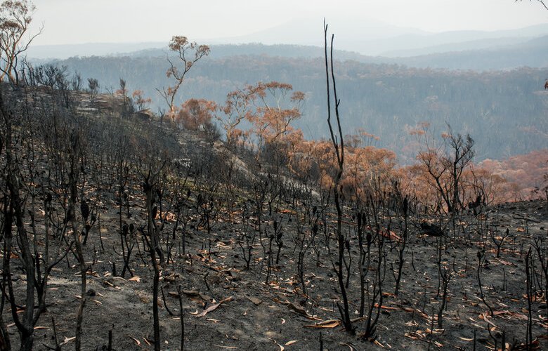 Sparks fly over $11m bushfire grant for skydive ‘pond’