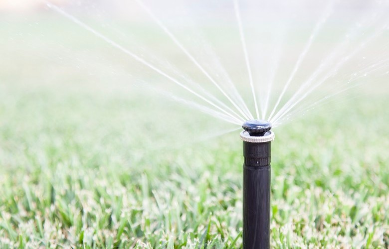 Subsidised irrigation training for WA councils