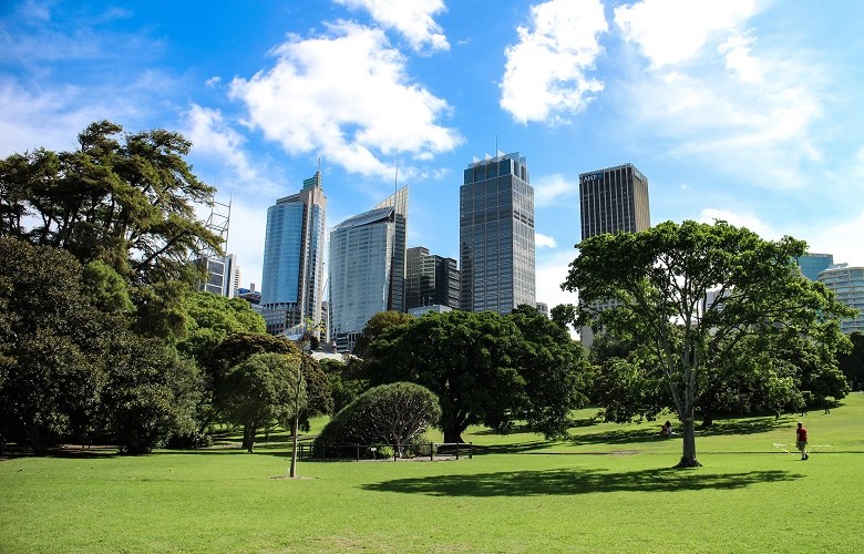 Study finds urban parks a hot spot for bacteria