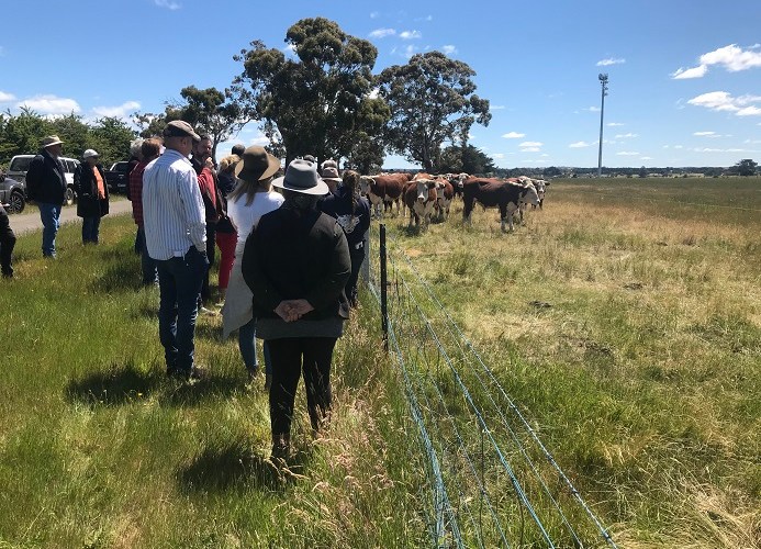 Council’s biodiversity project recognised by Victorian premier