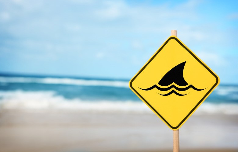 NSW Govt releases watch app to track sharks