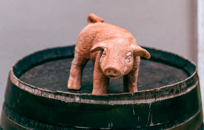 Report finds pork barrelling is alive and well