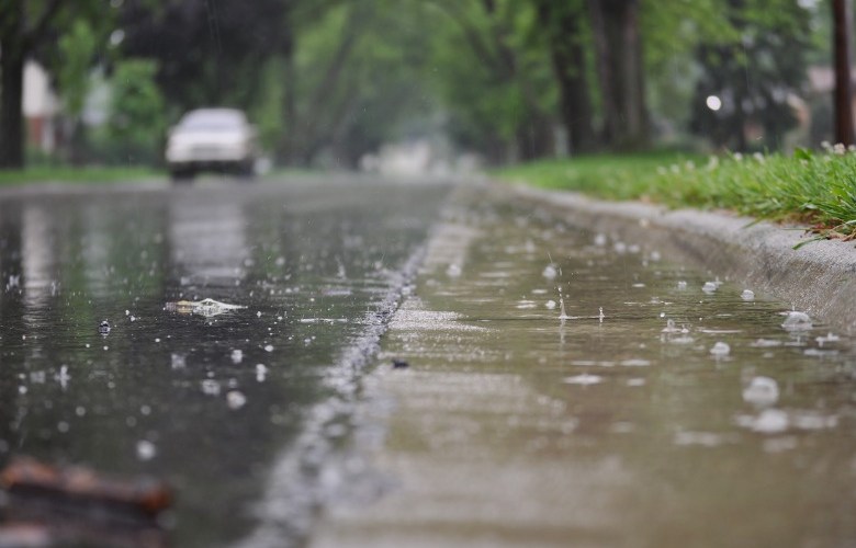 Passive irrigation system turns cities into ‘green sponges’