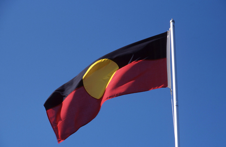 Local government backs Indigenous Voice