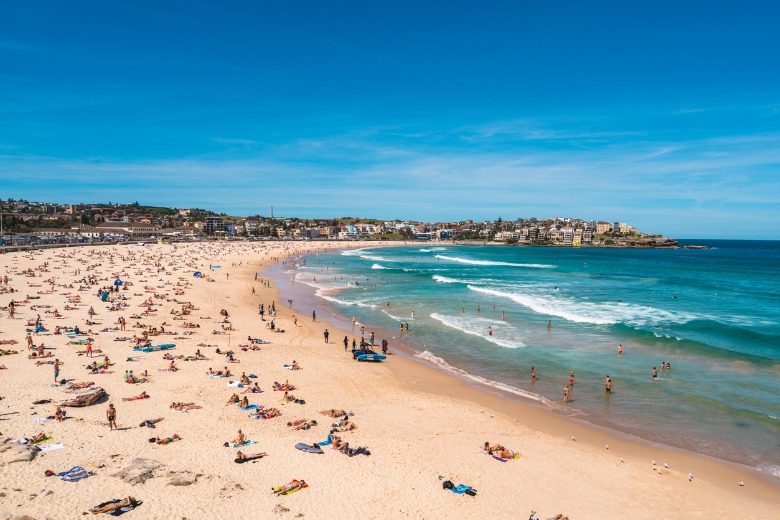 surf cam bondi beach