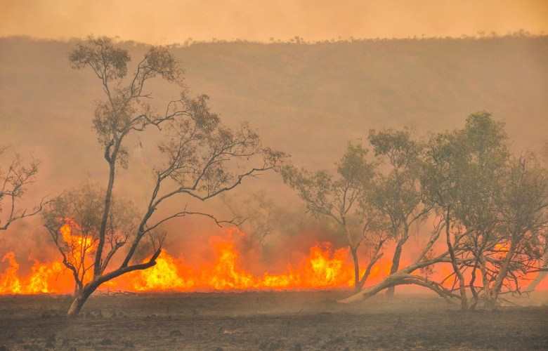 WA strategy aims to embed climate capability in public service