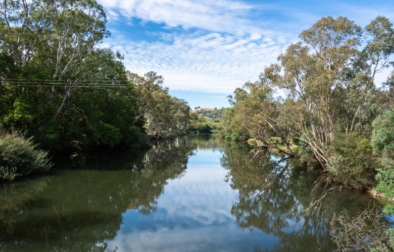 We don’t need your permission on water buybacks, Minister tells Victoria