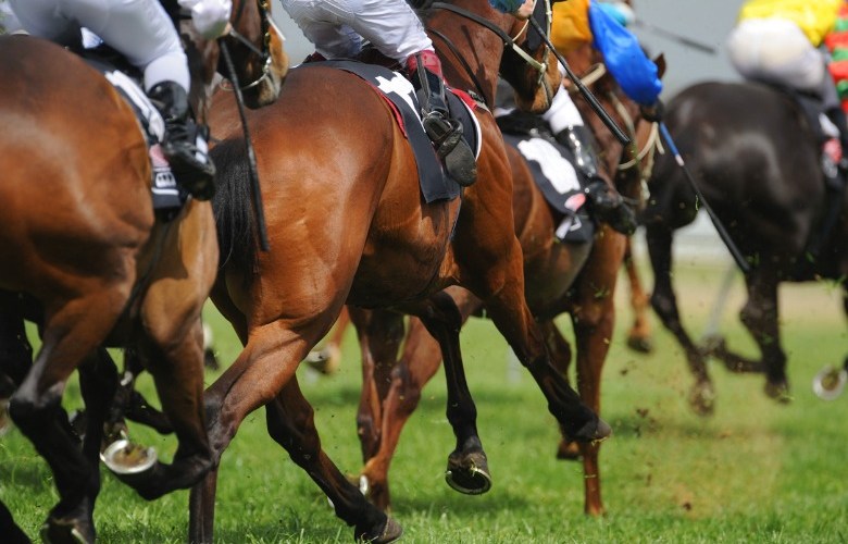 Qld racing regulator to come under review