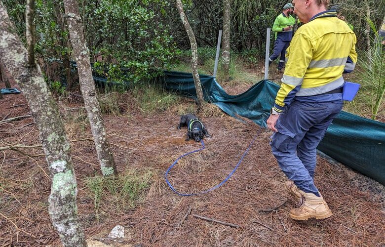 Council’s leak detection team shows dogged determination