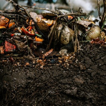 Queensland cracks down on smelly composters