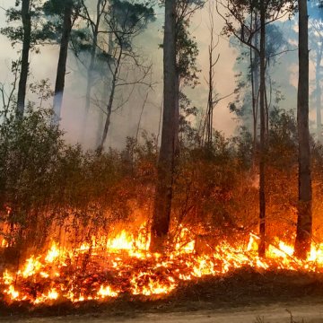 Govt modelling shows temperatures set to rise across NSW