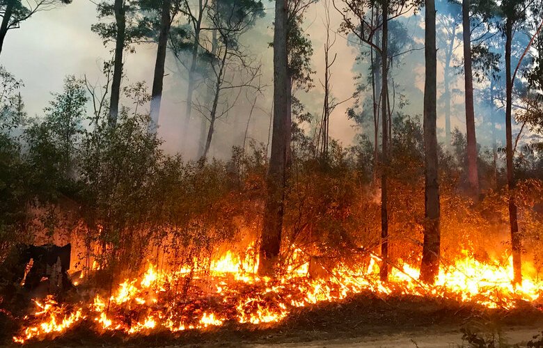 Govt modelling shows temperatures set to rise across NSW