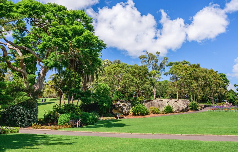 Cooling ability of trees during heatwaves overestimated