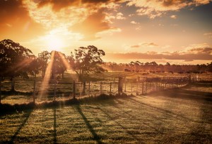 Giving voice to Victoria’s remote regions