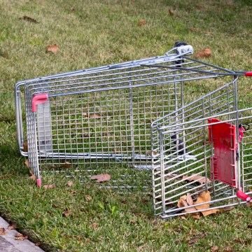 Council’s war on trolleys