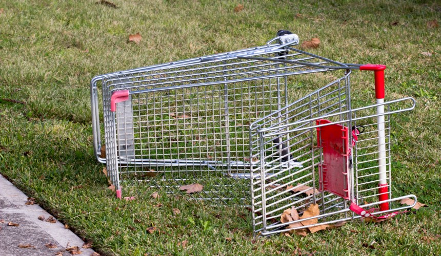 Council’s war on trolleys